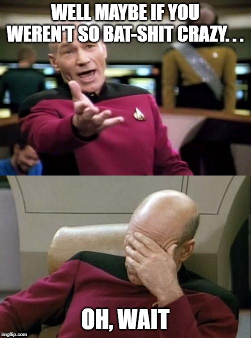 WELL MAYBE IF YOU WEREN'T SO BAT-SHIT CRAZY. . . OH, WAIT | image tagged in memes,picard wtf,captain picard facepalm | made w/ Imgflip meme maker