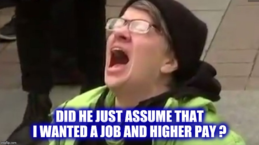 Screaming Liberal  | DID HE JUST ASSUME THAT I WANTED A JOB AND HIGHER PAY ? | image tagged in screaming liberal | made w/ Imgflip meme maker