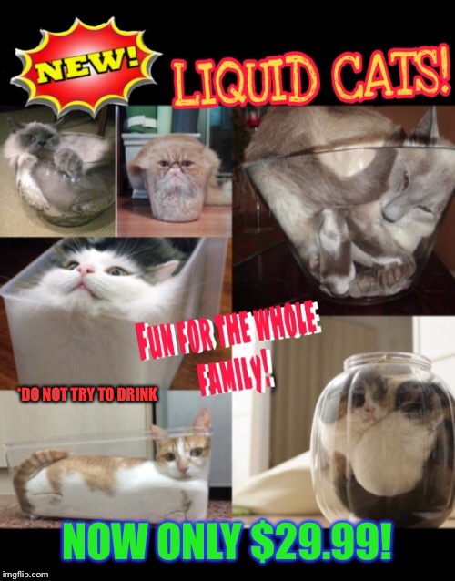 Liquid cats | *DO NOT TRY TO DRINK | image tagged in funny cats,funny picture,funny memes,flexible,cats | made w/ Imgflip meme maker