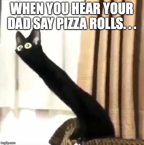Long Neck Cat | WHEN YOU HEAR YOUR DAD SAY PIZZA ROLLS. . . | image tagged in long neck cat | made w/ Imgflip meme maker