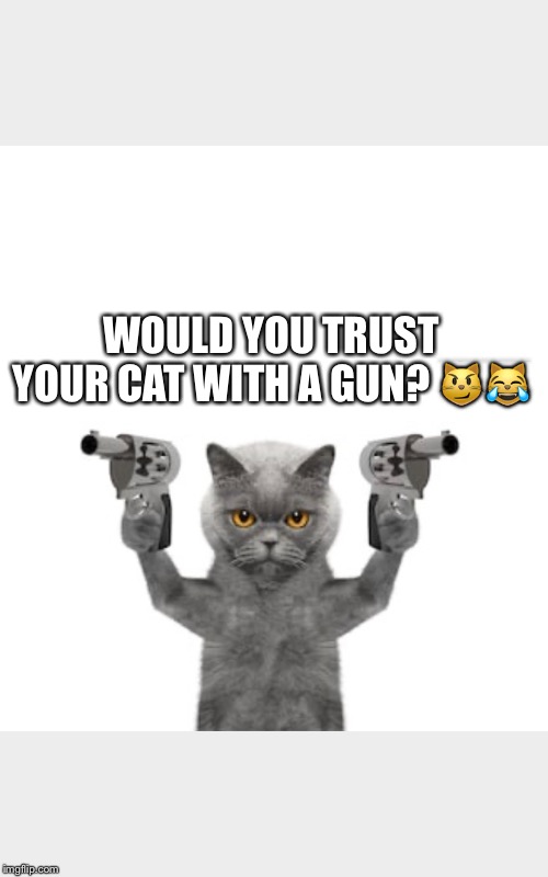 WOULD YOU TRUST YOUR CAT WITH A GUN? 😼😹 | image tagged in cat with gun,would you trust,trust your cat,funny cat meme | made w/ Imgflip meme maker