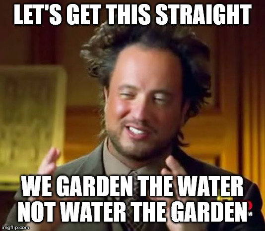 Ancient Aliens | LET'S GET THIS STRAIGHT; WE GARDEN THE WATER NOT WATER THE GARDEN | image tagged in memes,ancient aliens | made w/ Imgflip meme maker