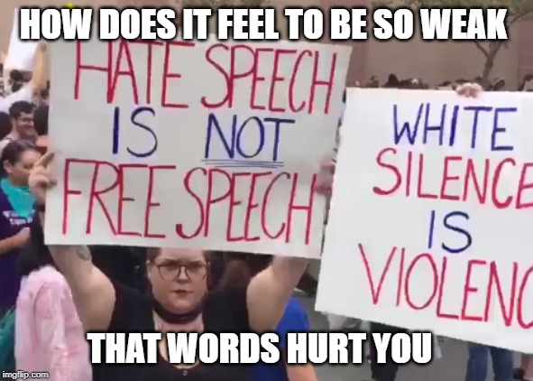 words hurt you | HOW DOES IT FEEL TO BE SO WEAK; THAT WORDS HURT YOU | image tagged in hate speech,words hurt | made w/ Imgflip meme maker