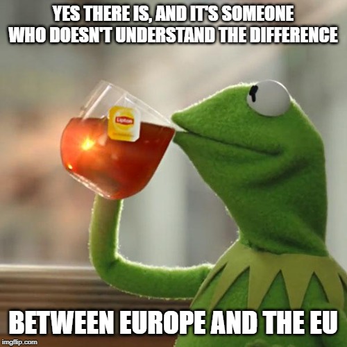But That's None Of My Business Meme | YES THERE IS, AND IT'S SOMEONE WHO DOESN'T UNDERSTAND THE DIFFERENCE BETWEEN EUROPE AND THE EU | image tagged in memes,but thats none of my business,kermit the frog | made w/ Imgflip meme maker