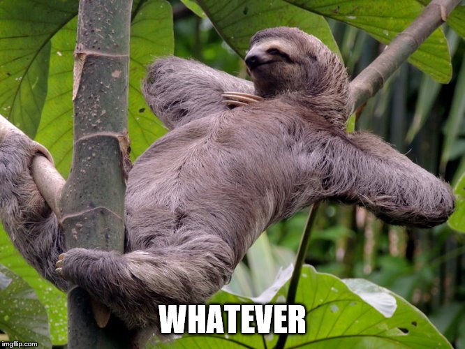 Lazy Sloth | WHATEVER | image tagged in lazy sloth | made w/ Imgflip meme maker