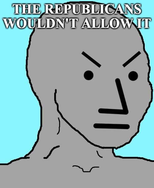 NPC meme angry | THE REPUBLICANS WOULDN'T ALLOW IT | image tagged in npc meme angry | made w/ Imgflip meme maker