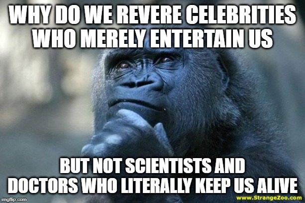 Deep Thoughts | WHY DO WE REVERE CELEBRITIES WHO MERELY ENTERTAIN US; BUT NOT SCIENTISTS AND DOCTORS WHO LITERALLY KEEP US ALIVE | image tagged in deep thoughts,AdviceAnimals | made w/ Imgflip meme maker