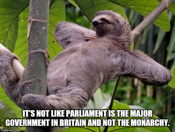 Lazy Sloth | IT'S NOT LIKE PARLIAMENT IS THE MAJOR GOVERNMENT IN BRITAIN AND NOT THE MONARCHY. | image tagged in lazy sloth | made w/ Imgflip meme maker