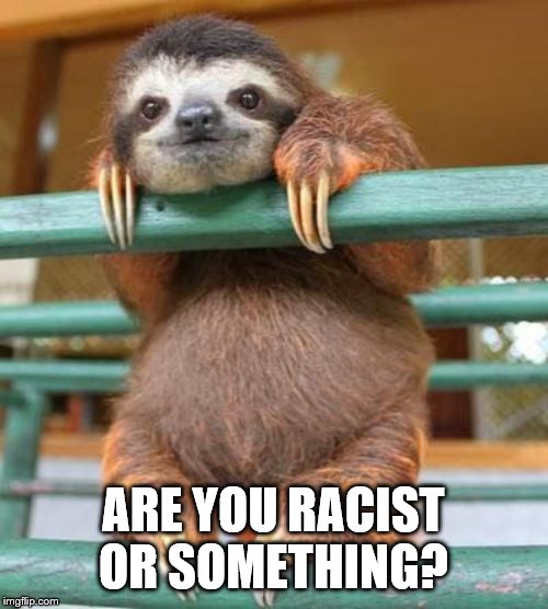 cute sloth | ARE YOU RACIST OR SOMETHING? | image tagged in cute sloth | made w/ Imgflip meme maker