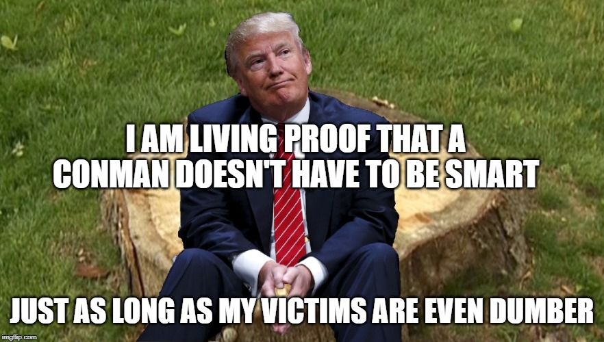 Trump on a stump | I AM LIVING PROOF THAT A CONMAN DOESN'T HAVE TO BE SMART; JUST AS LONG AS MY VICTIMS ARE EVEN DUMBER | image tagged in trump on a stump | made w/ Imgflip meme maker