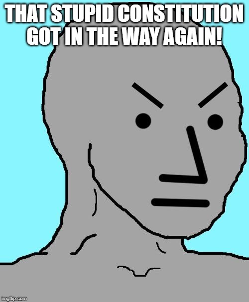 NPC meme angry | THAT STUPID CONSTITUTION GOT IN THE WAY AGAIN! | image tagged in npc meme angry | made w/ Imgflip meme maker