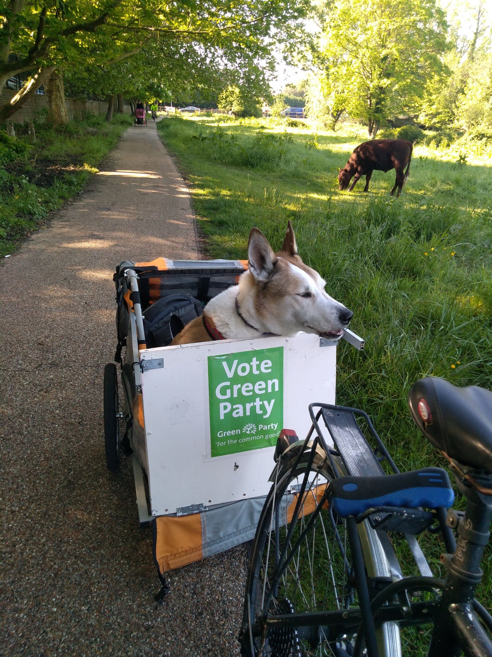 Cycle to work dog Blank Meme Template