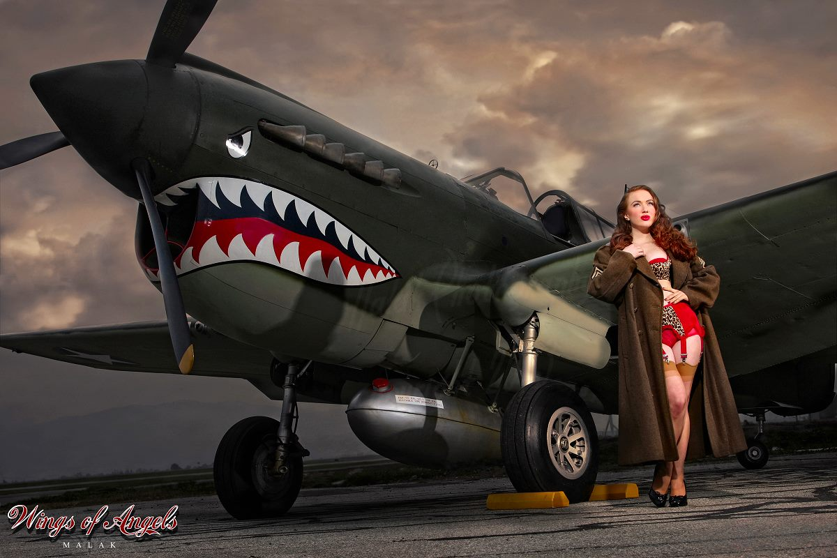 Warbird Pinup P-40 Tomahawk Blank Meme Template