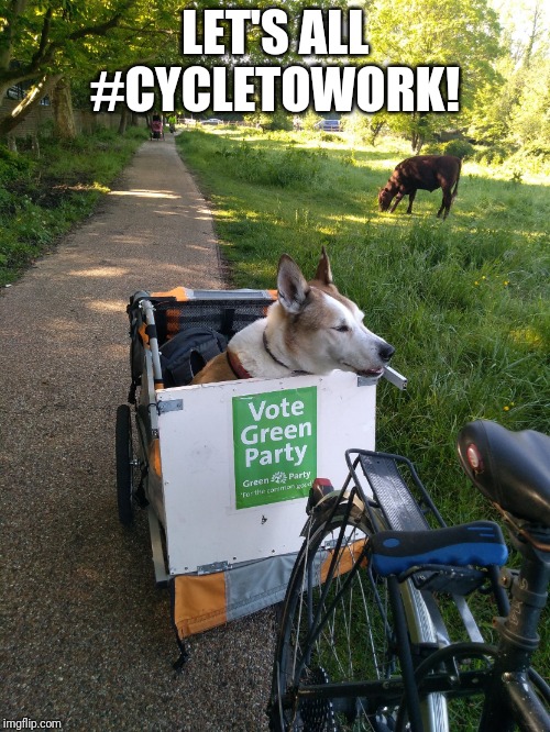 Cycle to work dog | LET'S ALL #CYCLETOWORK! | image tagged in cycle to work dog | made w/ Imgflip meme maker