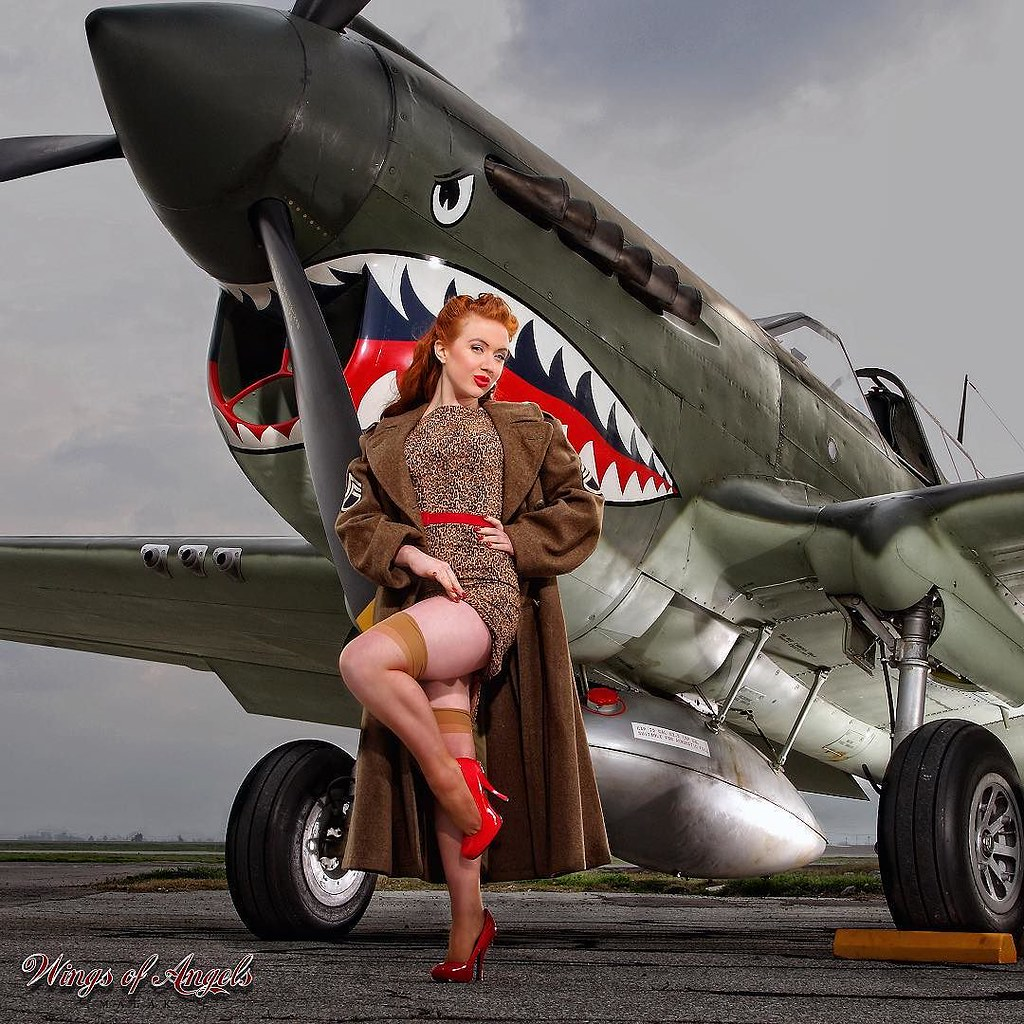 warbird Pinup P-40 Tomahawk Blank Meme Template