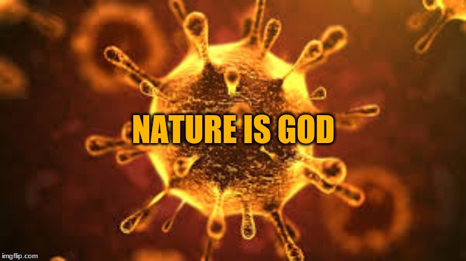 Nature is God | NATURE IS GOD | image tagged in god | made w/ Imgflip meme maker