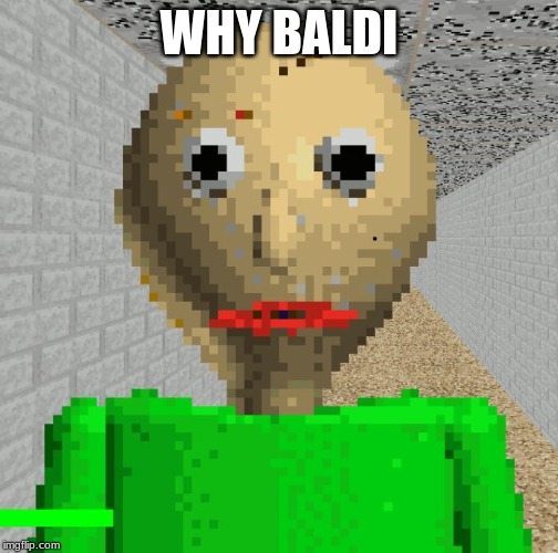 Baldi | WHY BALDI | image tagged in baldi | made w/ Imgflip meme maker