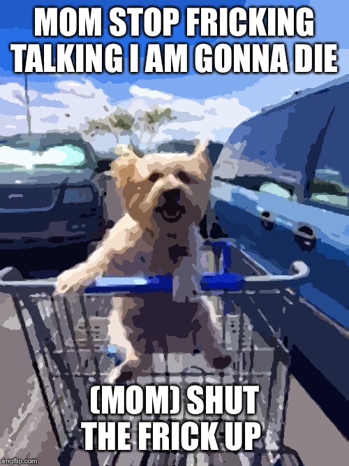 Dog shopping cart | MOM STOP FRICKING TALKING I AM GONNA DIE; (MOM) SHUT THE FRICK UP | image tagged in dog shopping cart | made w/ Imgflip meme maker