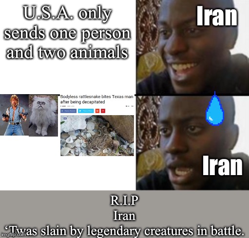 Oh yeah! Oh no... | U.S.A. only sends one person and two animals; Iran; Iran; R.I.P
Iran
‘Twas slain by legendary creatures in battle. | image tagged in oh yeah oh no | made w/ Imgflip meme maker