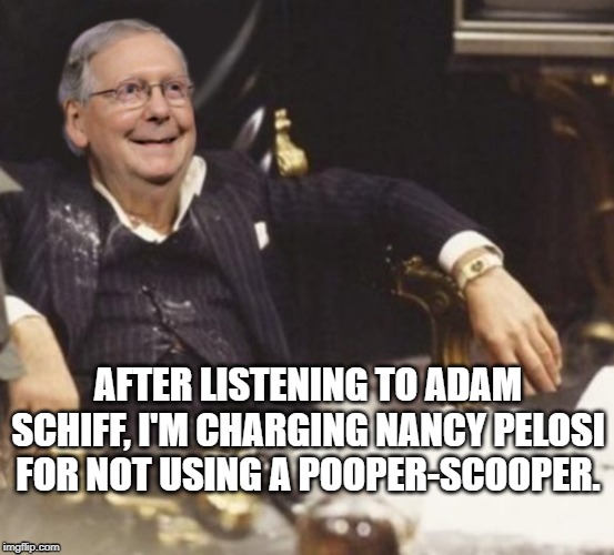 Mitch McConnell | AFTER LISTENING TO ADAM SCHIFF, I'M CHARGING NANCY PELOSI FOR NOT USING A POOPER-SCOOPER. | image tagged in mitch mcconnell,adam schiff,impeach trump,bullshit | made w/ Imgflip meme maker