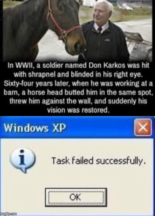 Task failed successfully memes | image tagged in task failed successfully,funny,memes,vision,ww2,blind | made w/ Imgflip meme maker
