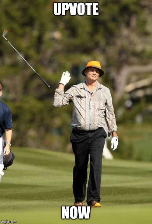 Upvote now | UPVOTE; NOW | image tagged in memes,bill murray golf,funny | made w/ Imgflip meme maker