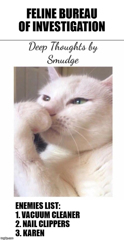 Smudge | FELINE BUREAU OF INVESTIGATION; ENEMIES LIST:
1. VACUUM CLEANER
2. NAIL CLIPPERS
3. KAREN | image tagged in smudge | made w/ Imgflip meme maker