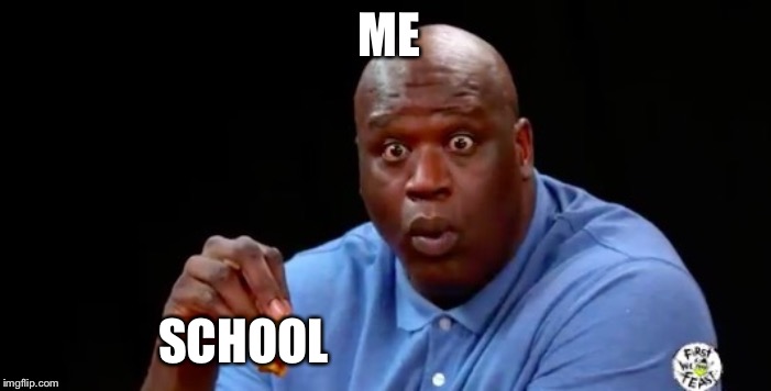 surprised shaq | ME; SCHOOL | image tagged in surprised shaq | made w/ Imgflip meme maker