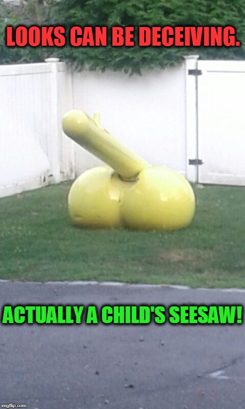 You Can't Judge a Book by its Cover | LOOKS CAN BE DECEIVING. ACTUALLY A CHILD'S SEESAW! | image tagged in lol,funny,funny memes,wtf,wth,lol so funny | made w/ Imgflip meme maker