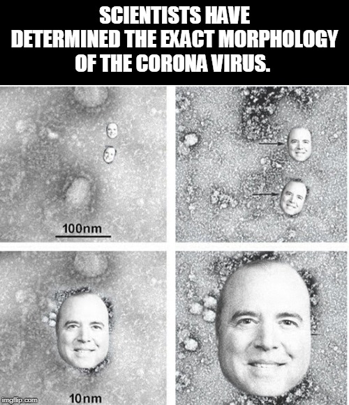 SCIENTISTS HAVE DETERMINED THE EXACT MORPHOLOGY OF THE CORONA VIRUS. | made w/ Imgflip meme maker