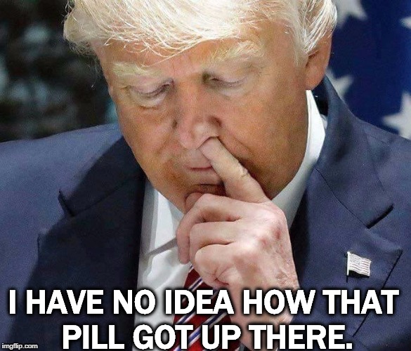 Ask Noel Casler. | I HAVE NO IDEA HOW THAT 
PILL GOT UP THERE. | image tagged in trump picking nose,trump,drugs,addict | made w/ Imgflip meme maker