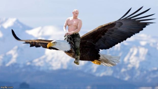 Putin Eagle | . | image tagged in putin eagle | made w/ Imgflip meme maker