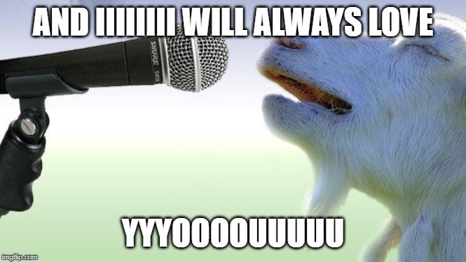 goat singing | AND IIIIIIII WILL ALWAYS LOVE; YYYOOOOUUUUU | image tagged in goat singing | made w/ Imgflip meme maker