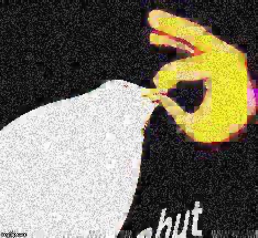 Shut | image tagged in inhaling seagull,deep fried | made w/ Imgflip meme maker