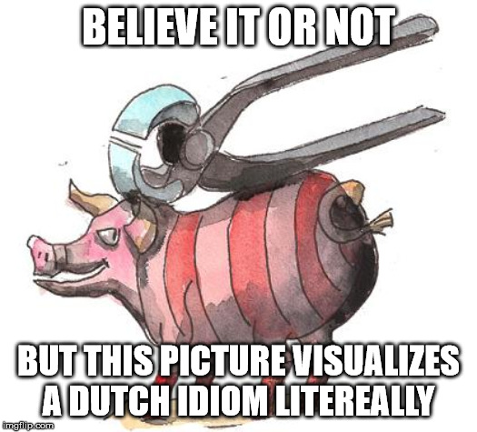 BELIEVE IT OR NOT; BUT THIS PICTURE VISUALIZES A DUTCH IDIOM LITEREALLY | made w/ Imgflip meme maker