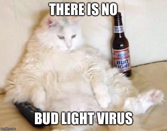 fat cat bud light |  THERE IS NO; BUD LIGHT VIRUS | image tagged in fat cat bud light | made w/ Imgflip meme maker