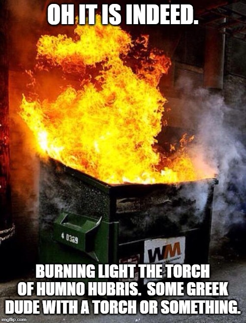Dumpster Fire | OH IT IS INDEED. BURNING LIGHT THE TORCH OF HUMNO HUBRIS.  SOME GREEK DUDE WITH A TORCH OR SOMETHING. | image tagged in dumpster fire | made w/ Imgflip meme maker