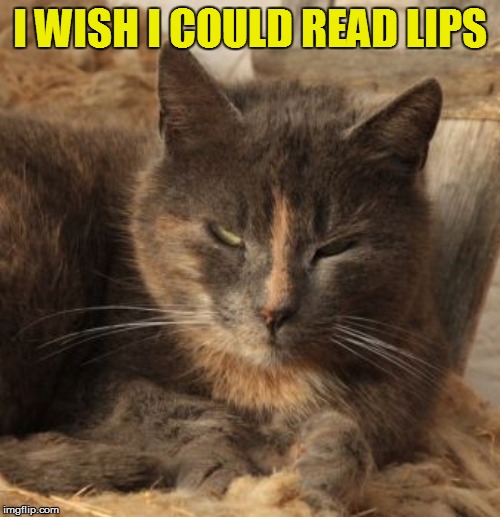 I WISH I COULD READ LIPS | made w/ Imgflip meme maker