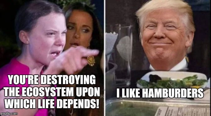 angry greta thunberg yelling at confused trump | I LIKE HAMBURDERS; YOU'RE DESTROYING THE ECOSYSTEM UPON WHICH LIFE DEPENDS! | image tagged in angry greta thunberg yelling at confused trump | made w/ Imgflip meme maker