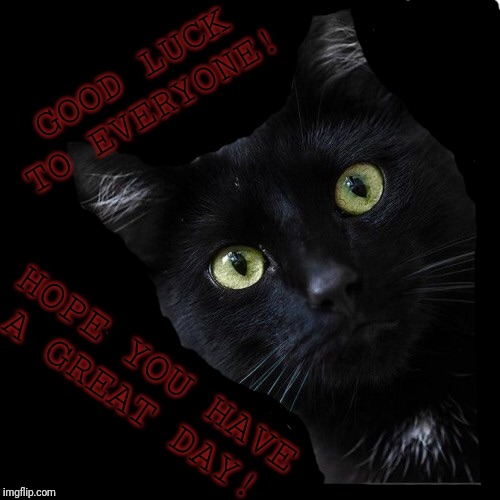 What?black cats can't be lucky? | GOOD LUCK TO EVERYONE! HOPE YOU HAVE A GREAT DAY! | image tagged in black cats matter | made w/ Imgflip meme maker