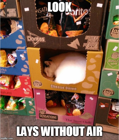 CHEESE ONION CAT | LOOK; LAYS WITHOUT AIR | image tagged in memes,cats,funny cats,lays | made w/ Imgflip meme maker