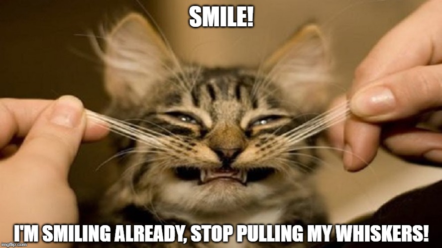 smile | SMILE! I'M SMILING ALREADY, STOP PULLING MY WHISKERS! | image tagged in smile,cat humor,pull whiskers | made w/ Imgflip meme maker
