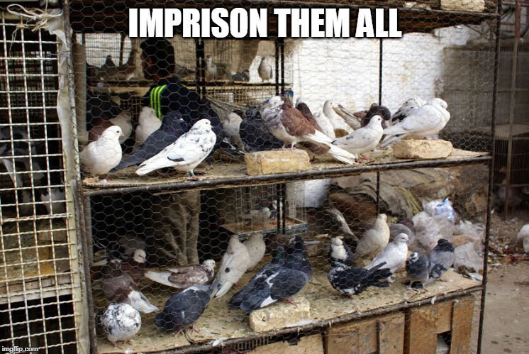 IMPRISON THEM ALL | made w/ Imgflip meme maker
