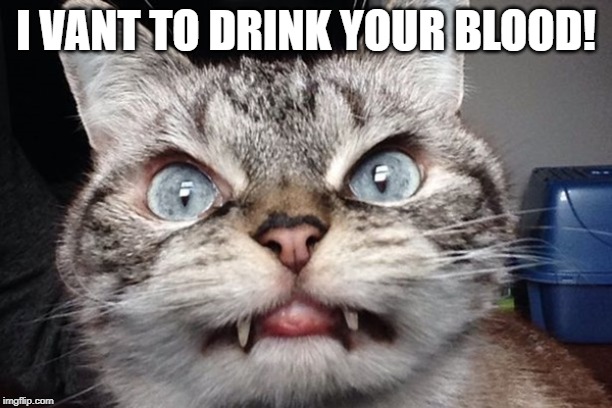 vampire cat | I VANT TO DRINK YOUR BLOOD! | image tagged in vampire,cat humor | made w/ Imgflip meme maker