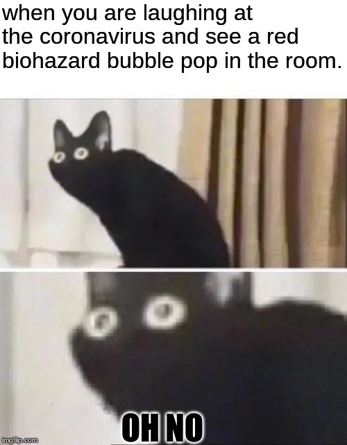 Oh No Black Cat | when you are laughing at the coronavirus and see a red biohazard bubble pop in the room. OH NO | image tagged in oh no black cat | made w/ Imgflip meme maker