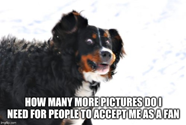Crazy Dawg Meme | HOW MANY MORE PICTURES DO I NEED FOR PEOPLE TO ACCEPT ME AS A FAN | image tagged in memes,crazy dawg | made w/ Imgflip meme maker