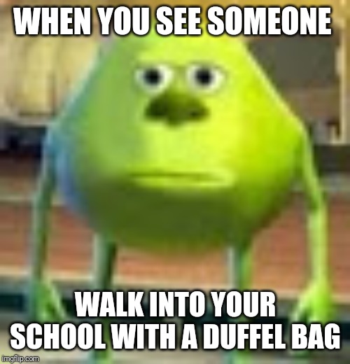 Sully Wazowski | WHEN YOU SEE SOMEONE; WALK INTO YOUR SCHOOL WITH A DUFFEL BAG | image tagged in sully wazowski | made w/ Imgflip meme maker