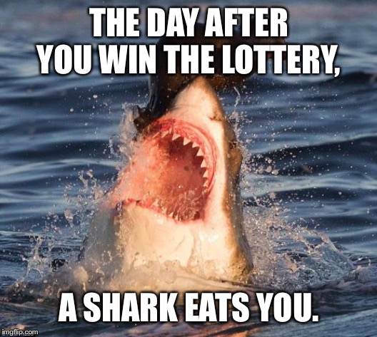Travelonshark Meme | THE DAY AFTER YOU WIN THE LOTTERY, A SHARK EATS YOU. | image tagged in memes,travelonshark | made w/ Imgflip meme maker