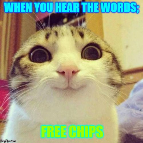 Smiling Cat | WHEN YOU HEAR THE WORDS;; FREE CHIPS | image tagged in memes,smiling cat | made w/ Imgflip meme maker