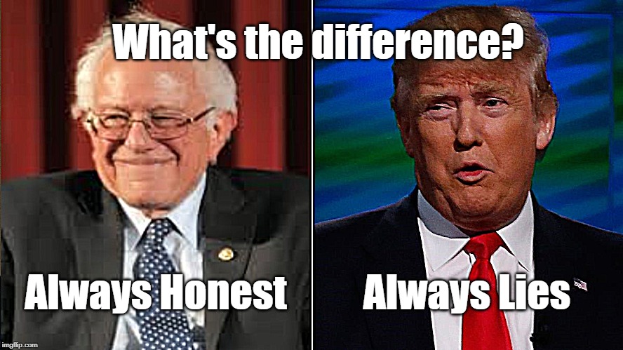 Bernie vs. Trump | What's the difference? Always Honest; Always Lies | image tagged in election 2020,bernie,trump | made w/ Imgflip meme maker